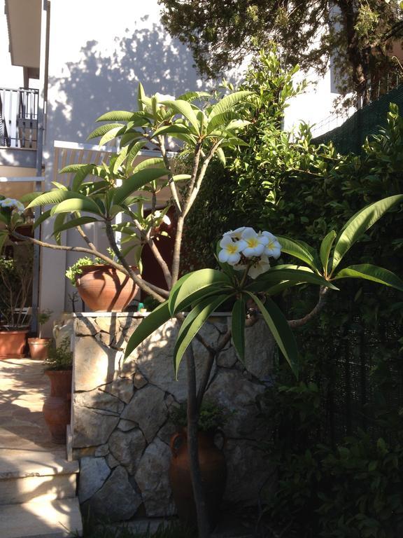 Il Giardino Dei Limoni Bed & Breakfast Aci Castello Exterior photo